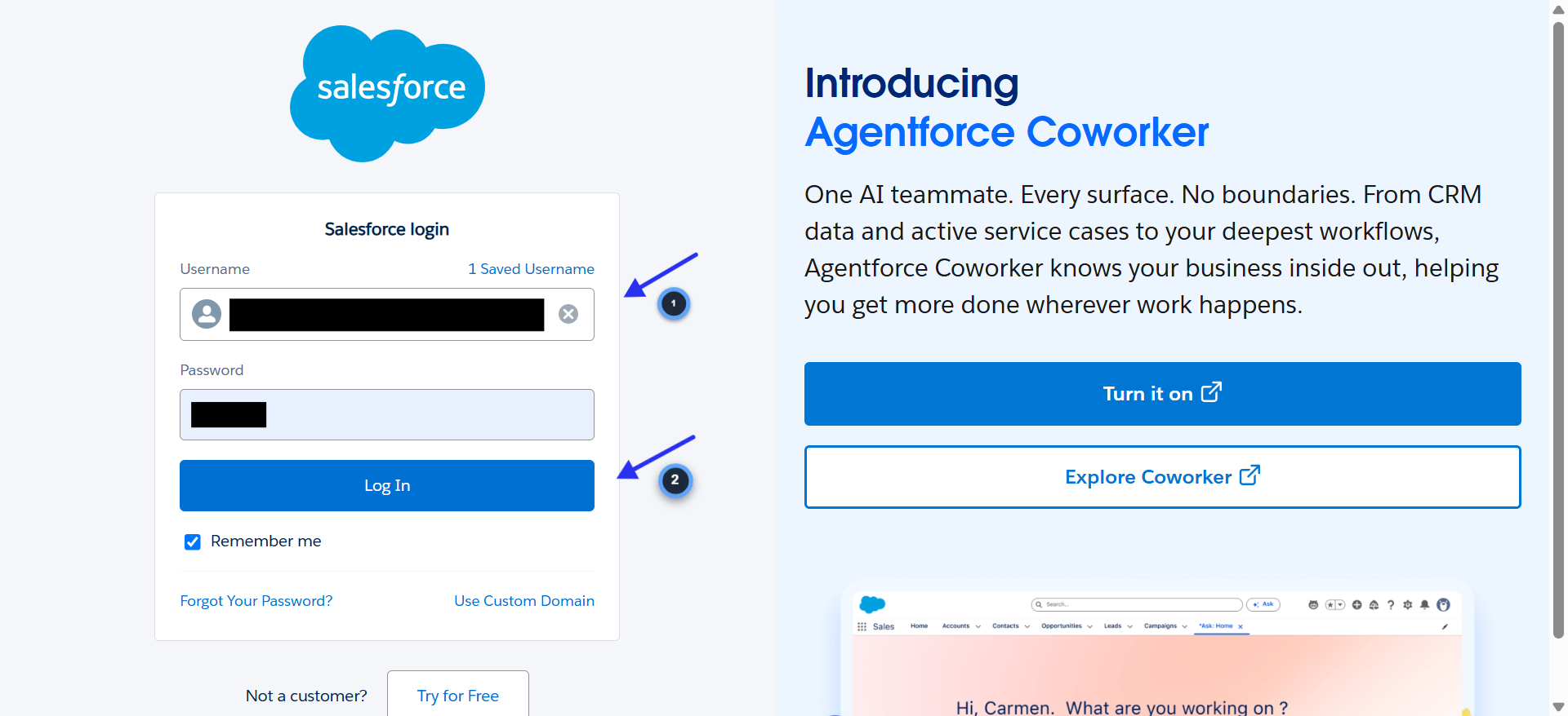 Salesforce OAuth login and authorization screen