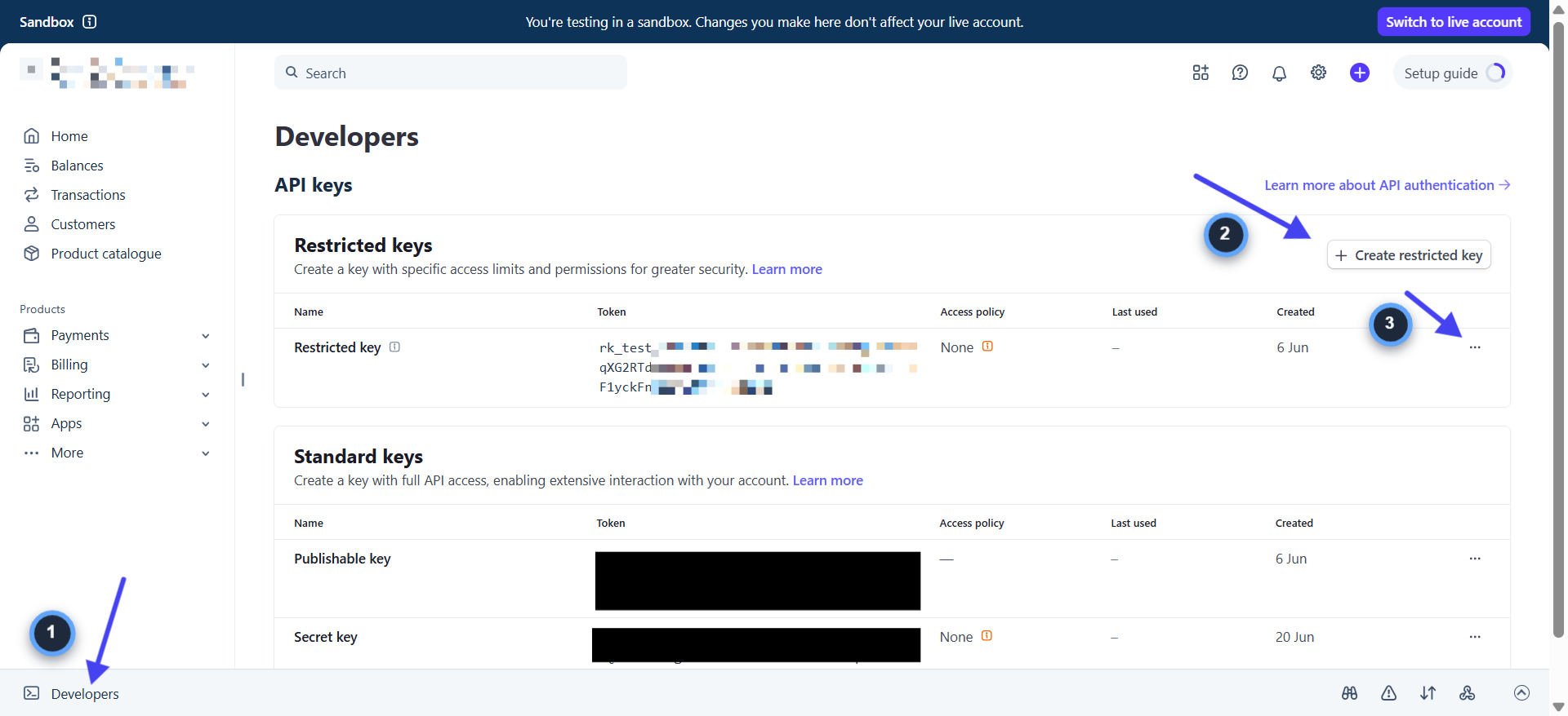 Stripe Dashboard showing Developers sidebar and Create restricted key button